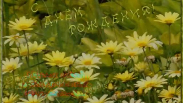 С ДНЁМ РОЖДЕНИЯ, Николай Николаевич!.avi смотреть онлайн