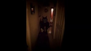 ЗВУКИ CARTOON CAT