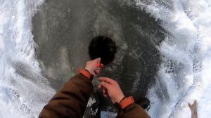 ЭТИ РЫБИНЫ РАЗОРВАЛИ НАМ ВСЕ СНАСТИ.ЛУЧШАЯ РЫБАЛКА ХАПУГАМИ В МОЕЙ ЖИЗНИ. САЗАН и ЩУКА НА ХАПУГИ.