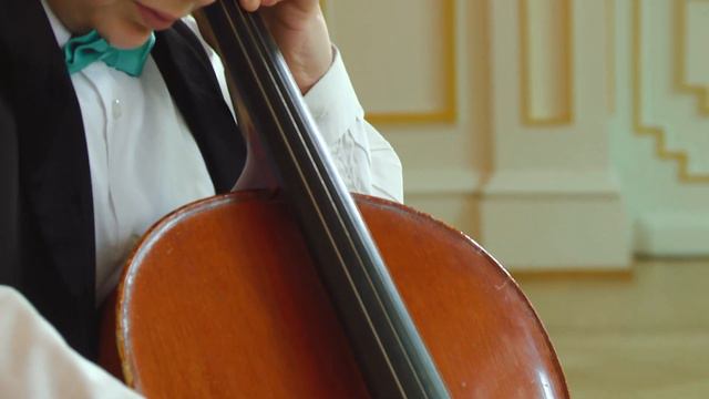 Eduard Kiprsky - "Ragtime" Mikhail Vasiliev - Violoncello, Mikhail Pirojenko - Piano смотреть онлайн