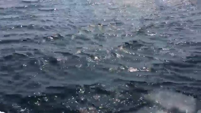 Спасение рыбаков в Корсаковском районе. ПСО им. Полякова смотреть онлайн