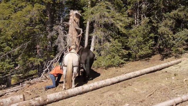 Chris Johnson Horse Logging смотреть онлайн