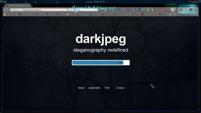 DarkJpeg-Stego.github.io смотреть онлайн