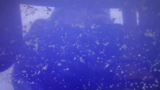 Китайская камера для рыбалки и наглый палец оператора). смотреть онлайн