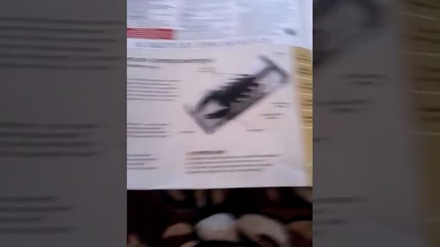 Насекомые #3 смотреть онлайн