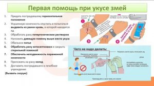 13.6. Укусы змей, насекомых, животных. Первая помощь при укусах