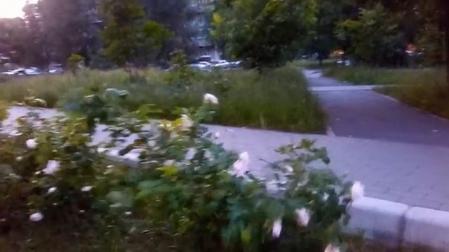 Срывая пасмурные маски, идёт по городу июль смотреть онлайн