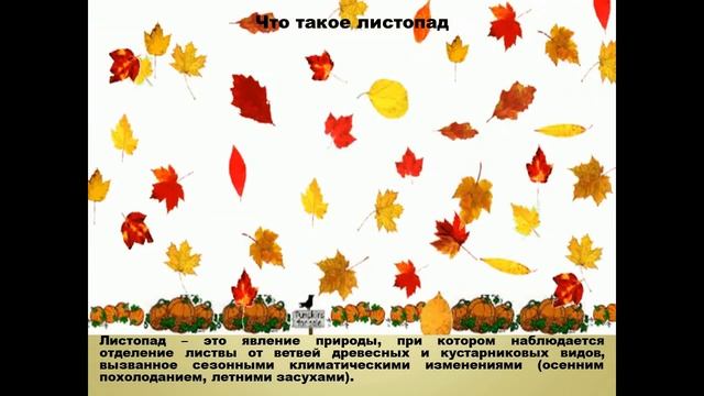 Анимированная GIF видео «Осень в жизни растений». смотреть онлайн