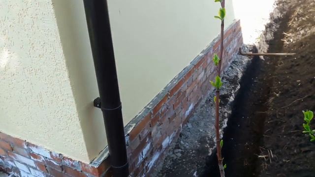 Выгребная яма в... смотреть онлайн