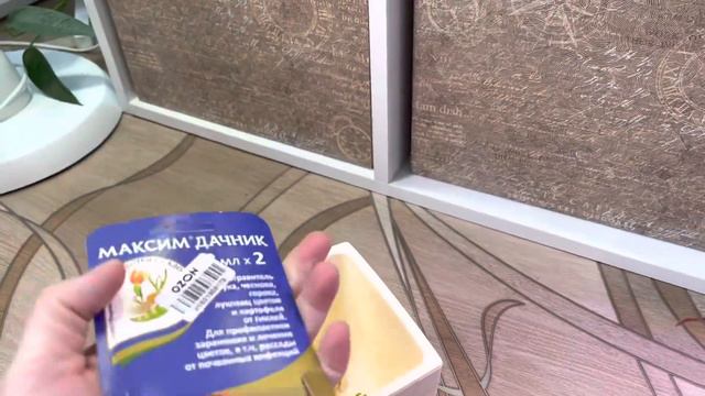 Я Цветанутый Санта 🤗 ❄️ смотреть онлайн