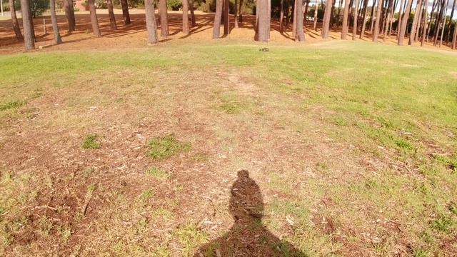 BEST CHEAP RC Buggy in 2023 for Only $37? | BONZAI RC 141600 смотреть онлайн