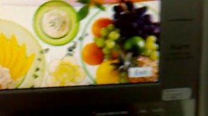 SAMSUNG RL55VQBRS