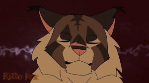 Top 20 meme warriors cats / Топ 20 меме коты-воители #2