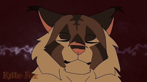 Top 20 meme warriors cats / Топ 20 меме коты-воители #2