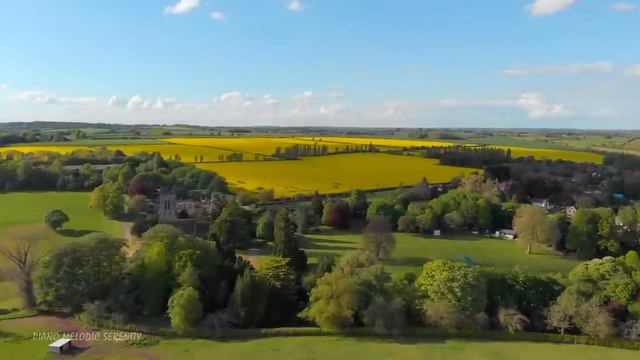 Приятная расслабляющая музыка для жизни🌿 успокаивающая музыка, успокаивает нервную систему и душу