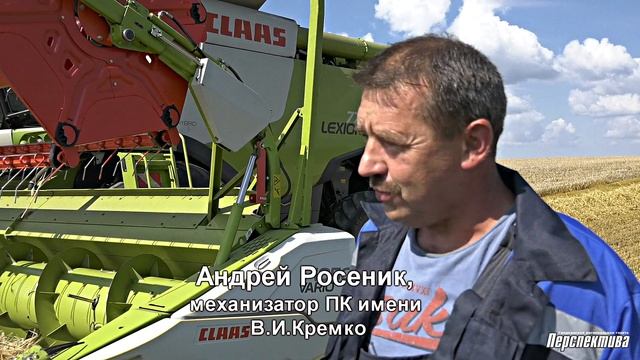 «Работаем в поле от зари и до заката». Как убирают хлеб в ПК имени В.И. Кремко (Гродненский район) смотреть онлайн