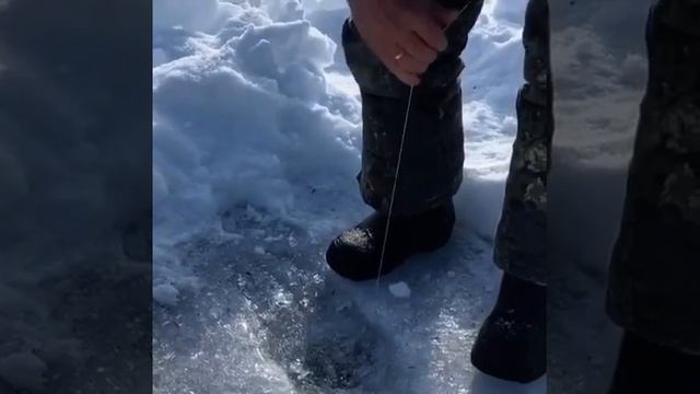 Рыбалка на пружинную хапугу в Якутске смотреть онлайн