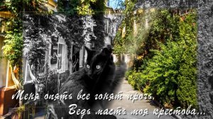 Жил да был черный кот...