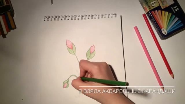 #1| How to draw a spring flower | Как нарисовать весенний цветок смотреть онлайн