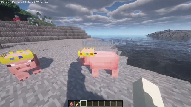 Technoblade Pig in Minecraft - Resource Pack смотреть онлайн