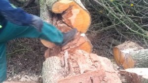 Бензопила Stihl ms 660