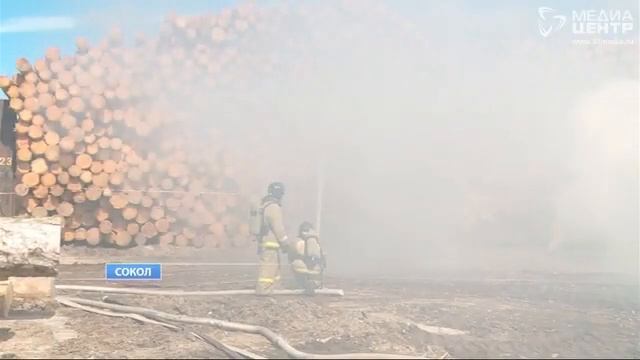 Пожарные учения в сокольском ДОКе смотреть онлайн
