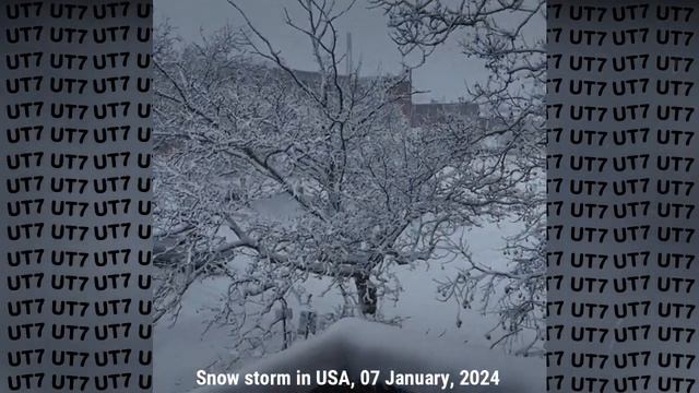 Lastest in USA! Historic Snow storm in 2024 смотреть онлайн