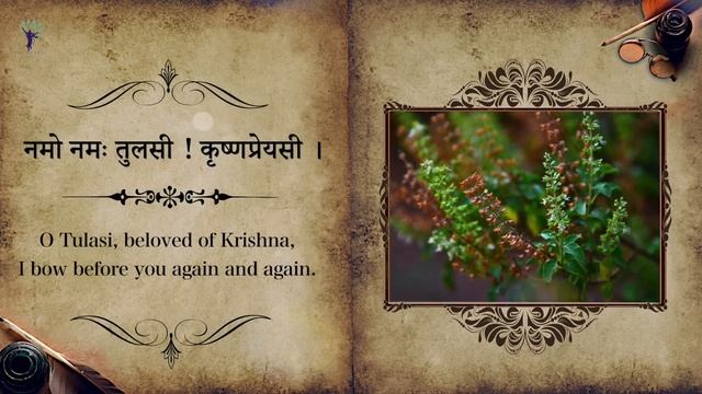 Tulsi Krishna Preyasi Namo Namaha | ISKCON Temple Songs