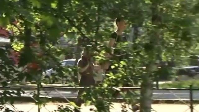 Маршрут в школу должен быть безопасным смотреть онлайн