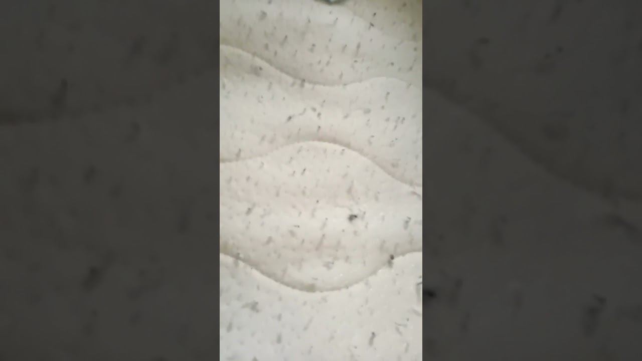 1 апреля 2024 г. смотреть онлайн