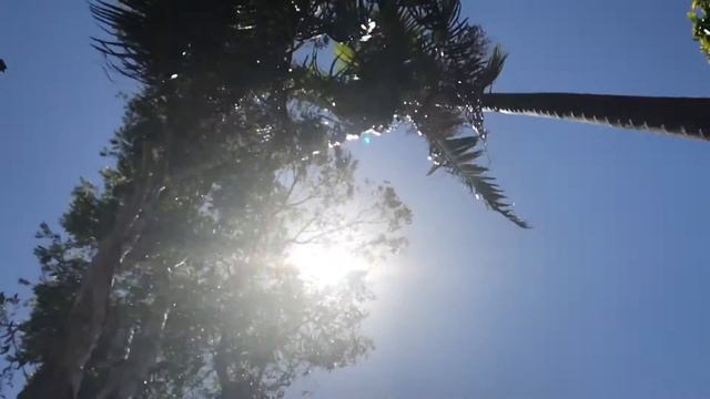 Looking at the SUN like some kind of GOD - Hyperblog J смотреть онлайн