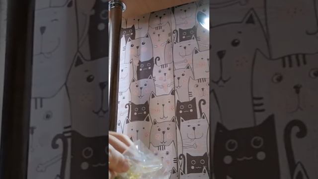 Распаковка lps стоячки и колли оригинал смотреть онлайн