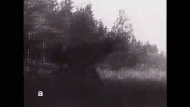 Winter War (1939-1940) смотреть онлайн