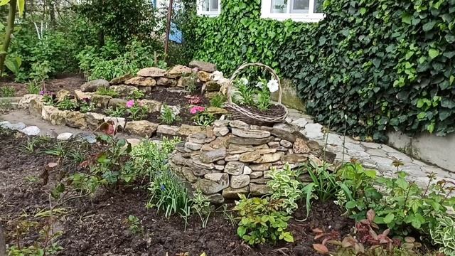 Глициния. Новая клумба из камня. Я в гостях. смотреть онлайн