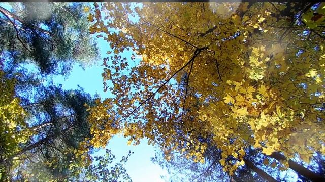 После ухода мужа ко мне пришла его беременная любовница смотреть онлайн