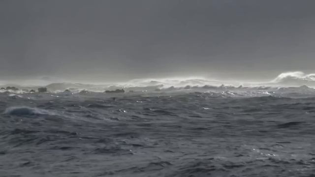 Маша без предупреждения приехала к мужу на дачу. Войдя она застыла на месте, увидев... смотреть онлайн