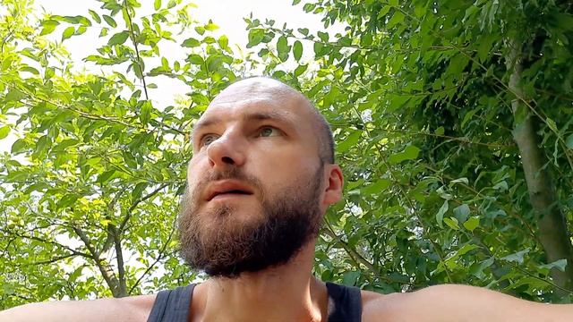 Строительная Честность