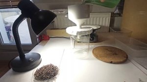 Меланж серебра. 200г посеребренки. первый опыт.