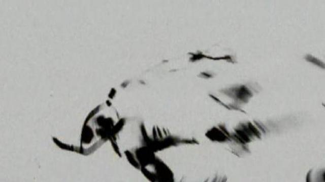 Smallville - 9.10 Disciple - Trailer