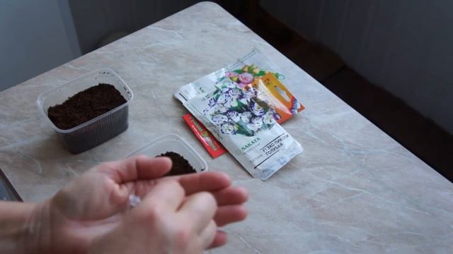 Сею эустому (лизиантус) смотреть онлайн