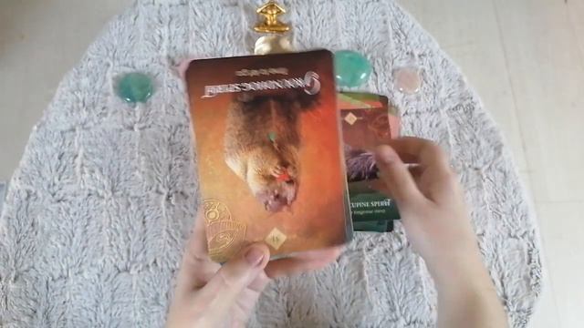 Présentation du Spirit animal oracle de Colette Baron Reid (jeu en anglais) смотреть онлайн