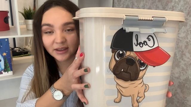 Лучшие покупки❤️ Для собаки и для меня ?? AliExpress/ H&M смотреть онлайн
