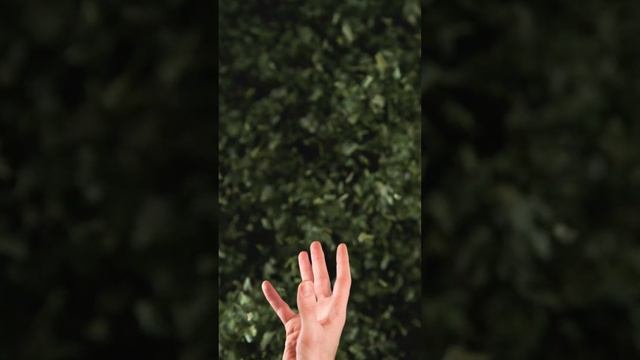 Why use a charcoal or blueberry face mask? That's why! смотреть онлайн