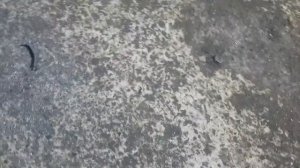 Независимый 4х скоростной ВОМ на минитрактор классика.           Вал Отбора Мощности своими руками.