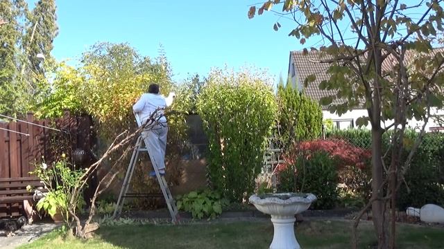 Осенняя причёска! ? смотреть онлайн