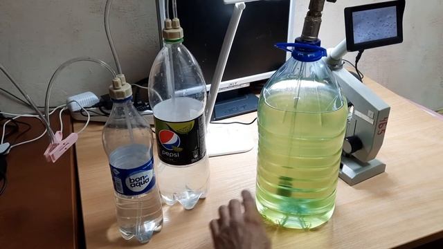 Опыт разведение хлореллы смотреть онлайн