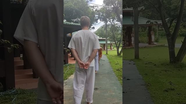 живём бесплатно в таиланде