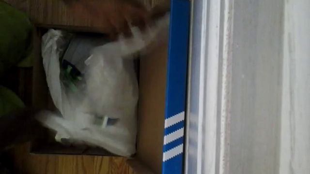 Adidas Originals Hard Cort Hi смотреть онлайн