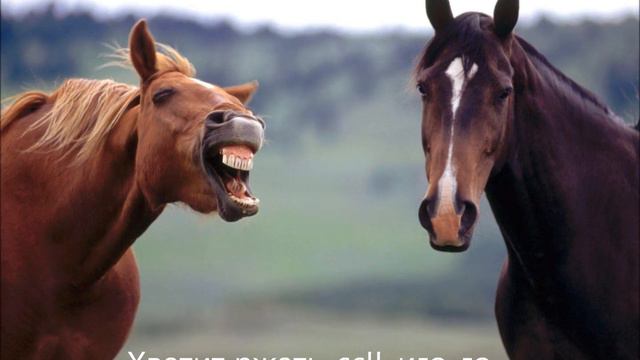 Диме на день варенья!!!!!!! смотреть онлайн