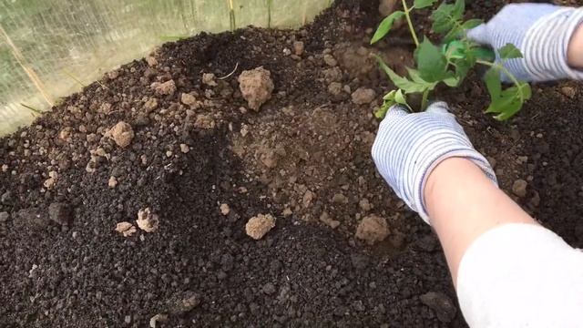 ВЛОГ:Я НА ДАЧЕ!????ЖАРИМ КАРТОФЕЛЬ //ХОЛОД НА УЛИЦЕ ?????? смотреть онлайн